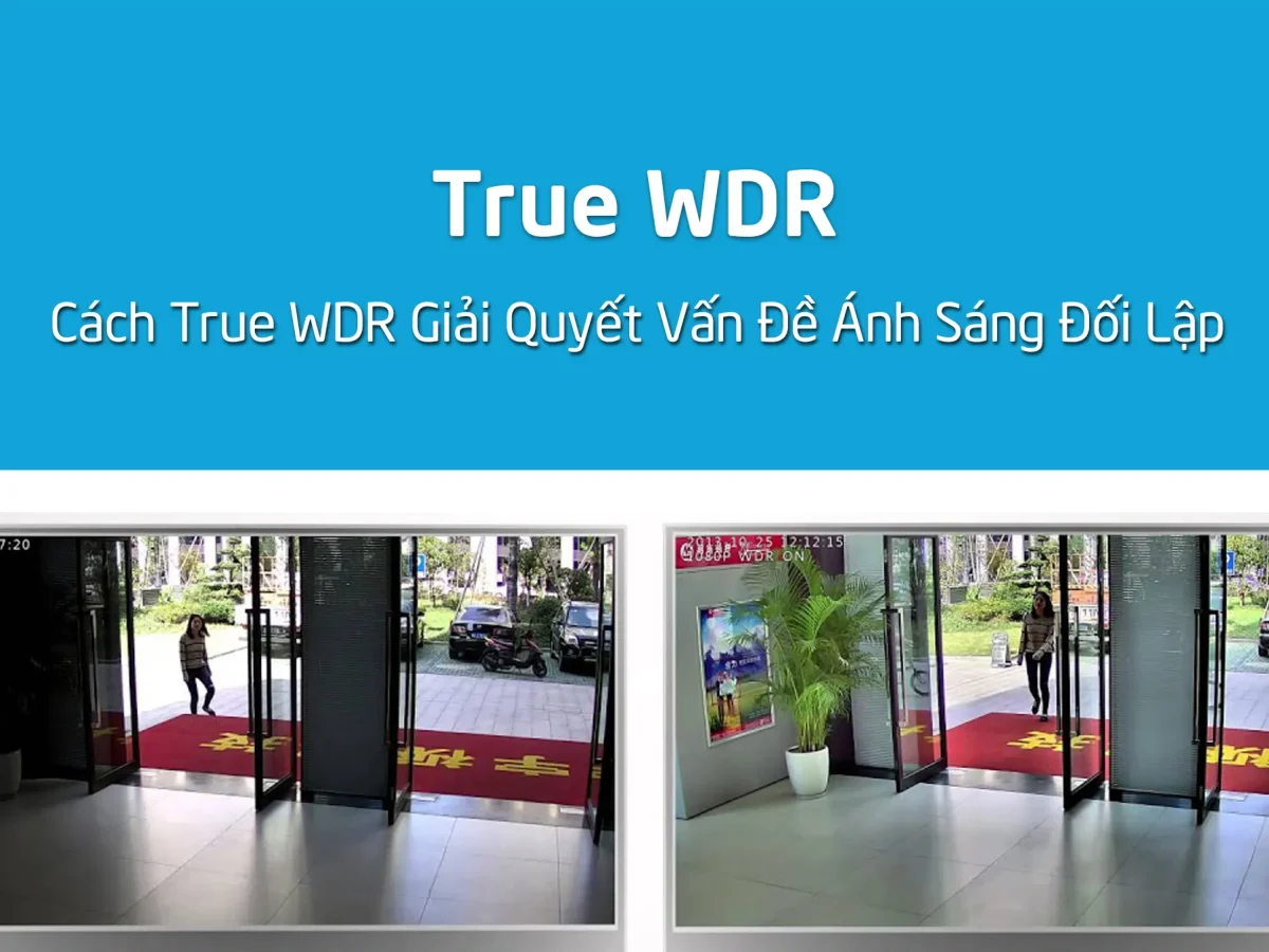 Công nghệ True WDR trên camera giám sát là gì? Ưu điểm và ứng dụng thực tế | BETAPLUS Đà Nẵng