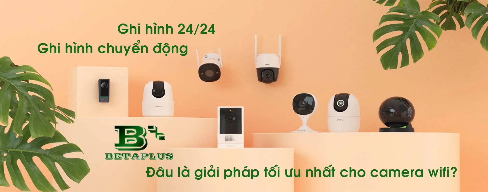 Ghi hình chuyển động hay ghi hình liên tục 24/24 – Đâu là giải pháp tốt nhất cho các dòng camera wifi giá rẻ?